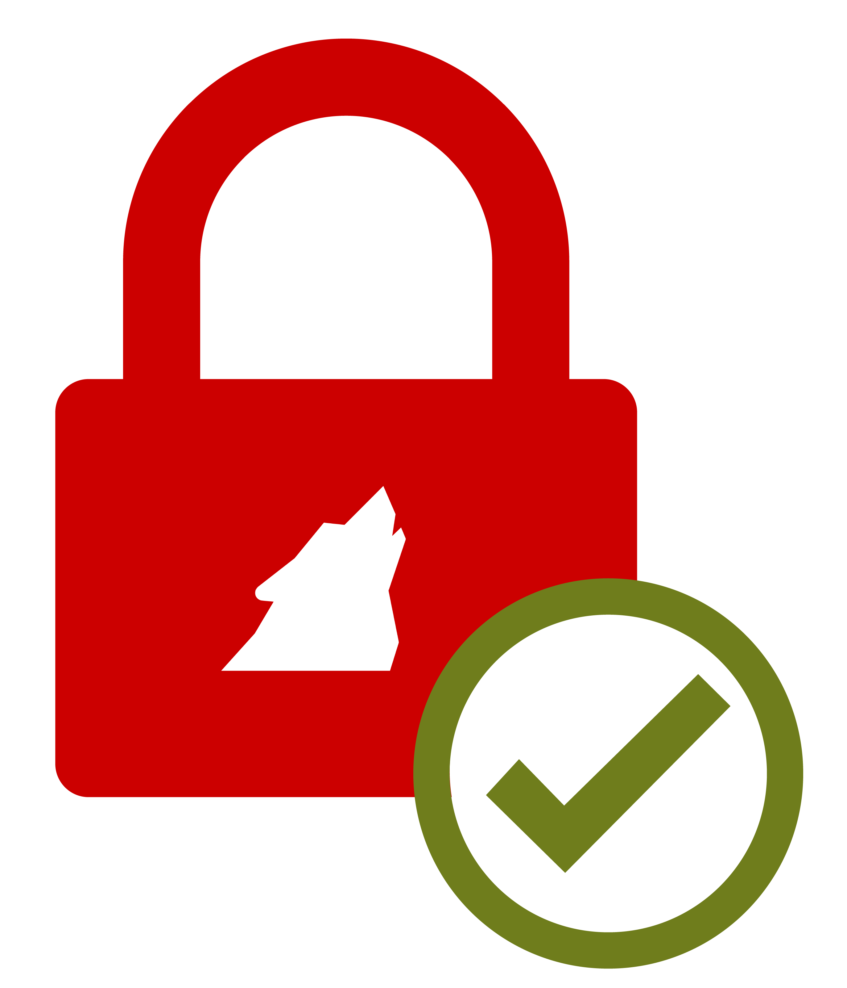 DPW-graphic-2023 red lock with green check mark inside white circle