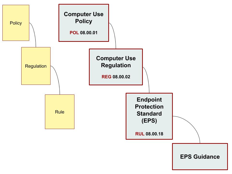 Hierarchy of PRRs